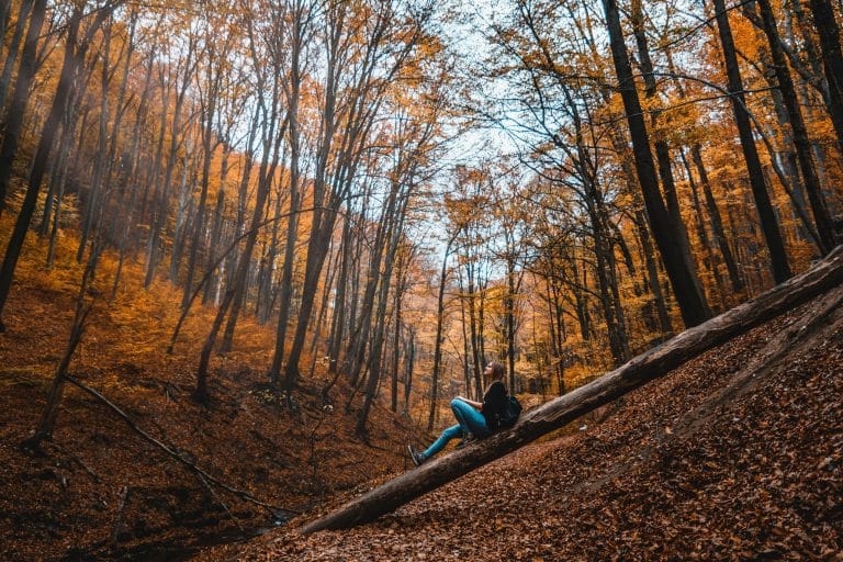 Comforting Soups for Every Season and Mood