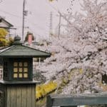 Arbitration Versus Litigation: Choosing the Right Path