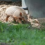 Environmental Lawsuits Shaping Corporate Behavior