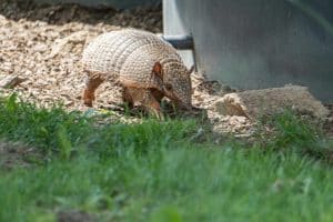 Environmental Lawsuits Shaping Corporate Behavior