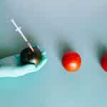 Must-Try Food Experiences in Famous Global Cities