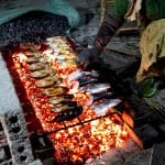 Cooking with Fire: Grilling and Smoking Techniques