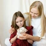 Family Law Court: Stories of Conflict and Compassion