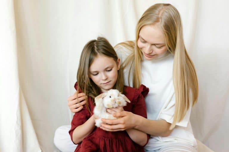 Family Law Court: Stories of Conflict and Compassion