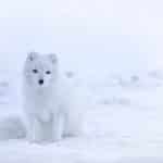 Surprising Destinations for Winter Sun Seekers