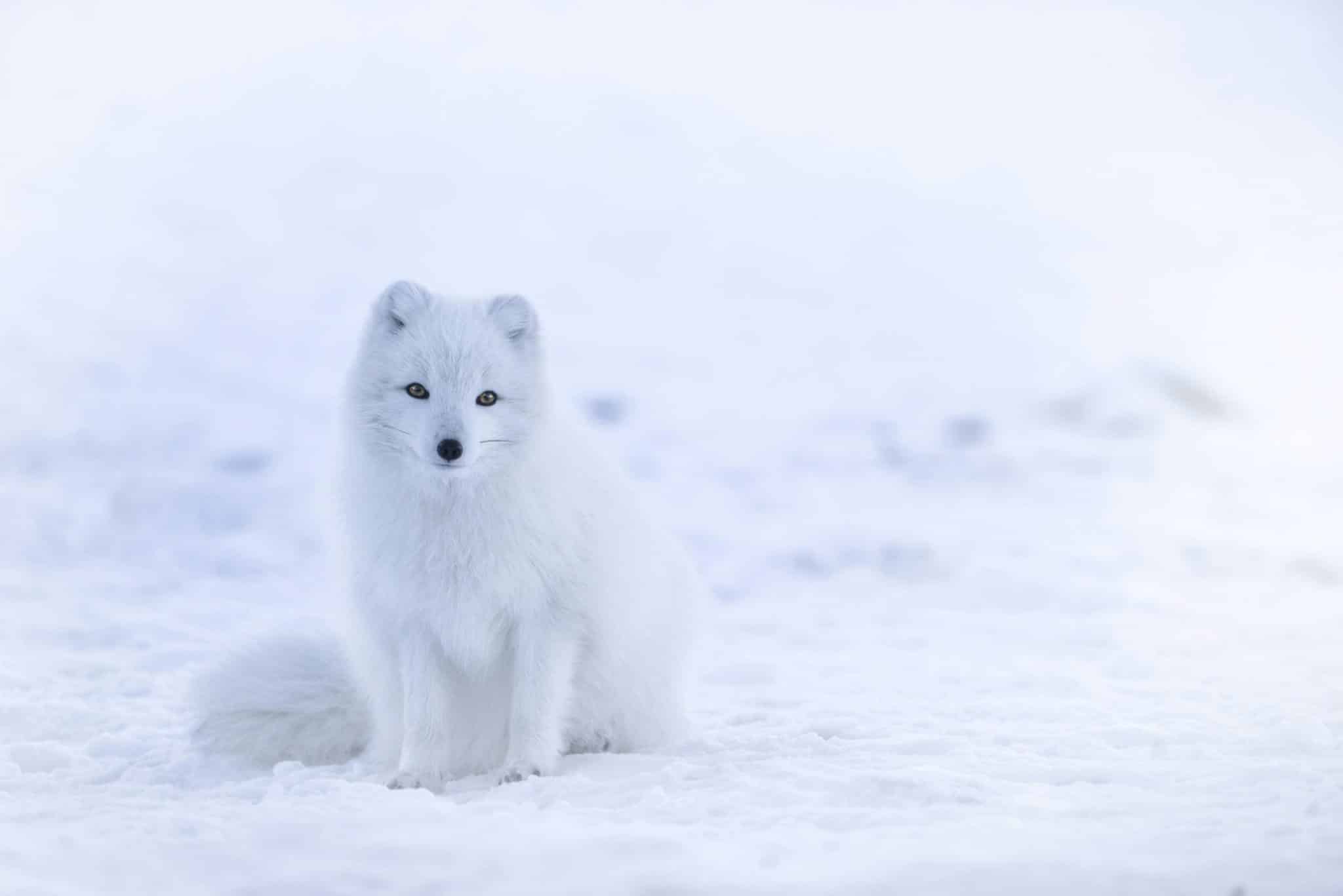 Surprising Destinations for Winter Sun Seekers