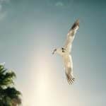 Mortgage Pre-Approval: What Lenders Really Look For