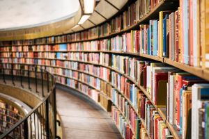 Early Childhood Education: Foundations for Life