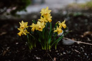 Outdoor Learning Adventures Beyond the Classroom