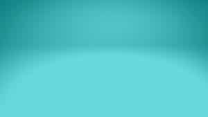 Swimming with Dolphins in Crystal Blue Waters