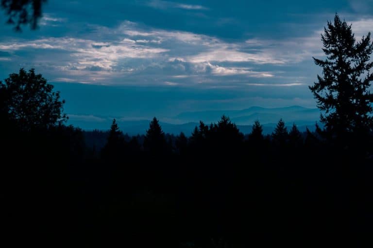 Real Estate Photography That Sells Houses Fast