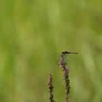 Eco-Friendly Resorts Leading the Green Revolution