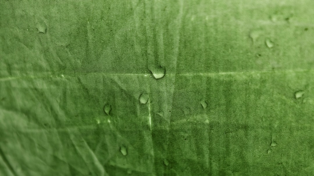 Fuel Efficiency: What Makes a Car Truly Green?
